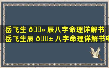 岳飞生 🌻 辰八字命理详解书（岳飞生辰 🐱 八字命理详解书电子版）